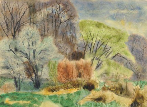UNTITLED FOREST SCENE
