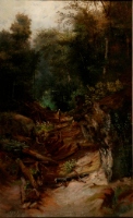 Woodsman in an Extensive Forest Landscape
