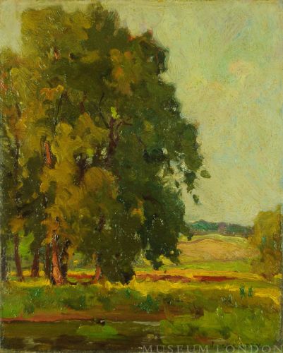 SUMMER LANDSCAPE