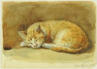 SLEEPING YELLOW CAT