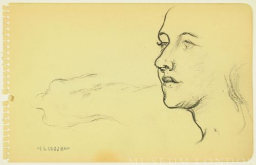 HEAD STUDY