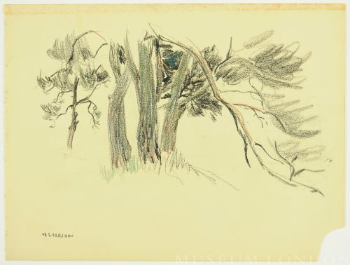 TREE STUDY