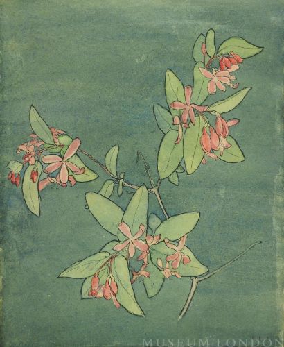BLOSSOM PLANT