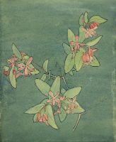 BLOSSOM PLANT