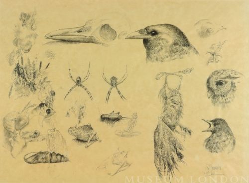 NATURE PAGE