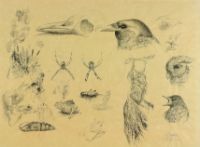 NATURE PAGE