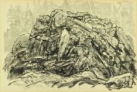 ROCK STUDY - 63