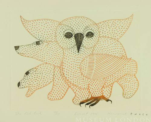 THE RED OWL