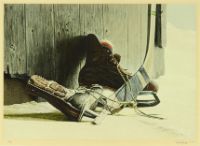 THE SKATES