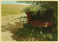 IN THE SHADE