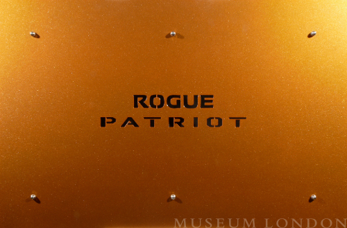 Realignment: Rogue Patriot