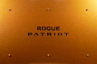 Realignment: Rogue Patriot