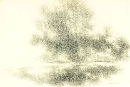 TREE REFLECTIONS