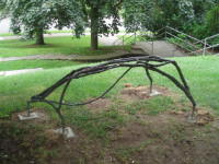 LOST WOOD SERIES