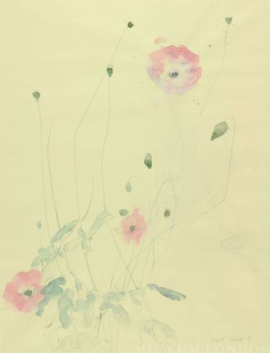 PINK POPPIES