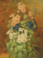 PHLOX