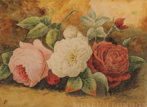 PINK, WHITE AND RED ROSES