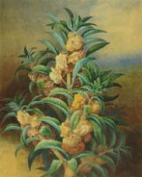EXOTIC FOLIAGE AND BLOOMS