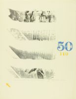 HOCKEY STICK BLADES FROM WEST LIONS PARK, LONDON