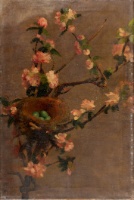 untitled sketch [apple blossoms with robin's nest]