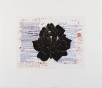 Notes on Lady Macbeth