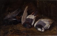 Untitled (still life of pigeons)