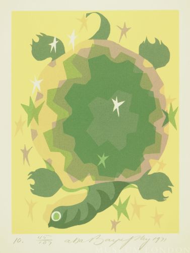 TURTLE IMAGE
