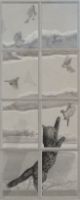 WINDOW: CAT AND BIRDS