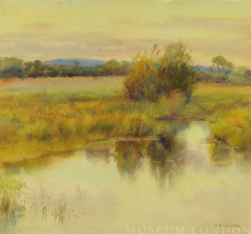 STILL WATERS