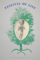 THE FESTIVAL OF LIFE