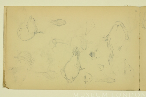 PAUL PEEL SKETCHBOOK: STUDIES OF GEESE