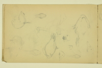 PAUL PEEL SKETCHBOOK: STUDIES OF GEESE