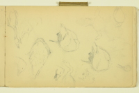 PAUL PEEL SKETCHBOOK: STUDIES OF GEESE