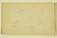 PAUL PEEL SKETCHBOOK: STUDIES OF GEESE