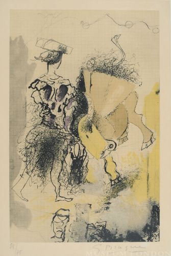 THE BULLFIGHTER