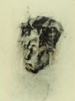 HEAD OF BRENDA ROBINSON