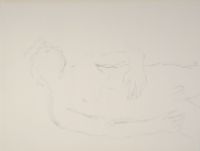 STUDY - MALE NUDE
