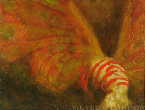 MOTH