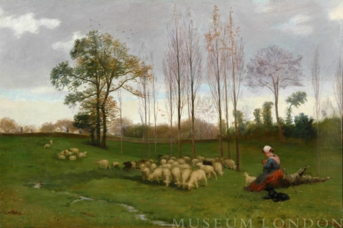RETURN OF THE FLOCK