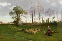 RETURN OF THE FLOCK