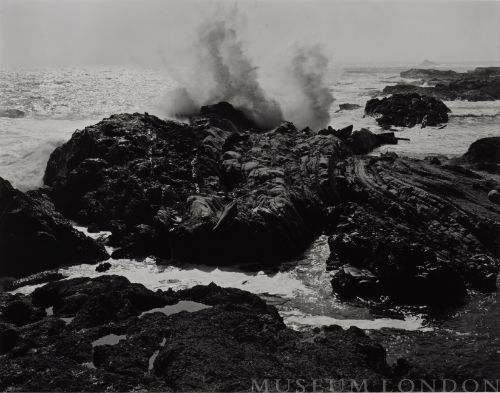 POINT LOBOS
