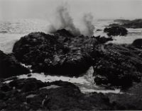 POINT LOBOS