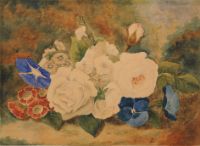 FLORAL STUDY