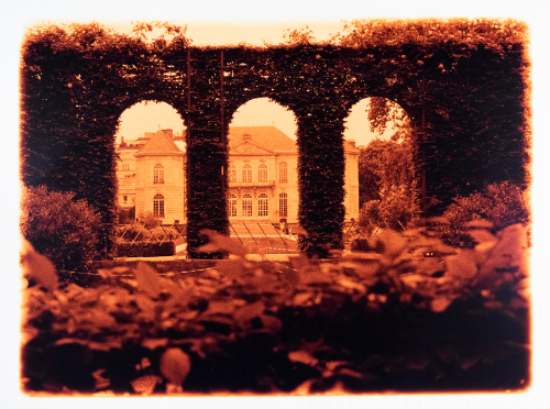 #7 from series Paris Gardens