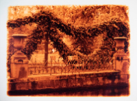 #15 from series Paris Gardens