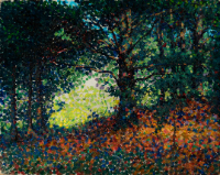 Untitled (Deep Forest View)