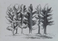 Group of Trees