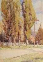 THE COUNTRY ROAD