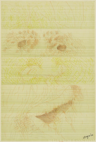 HEAD DRAWING