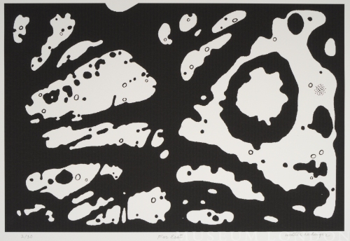 FAR EAST, from the Organic Works on Paper series